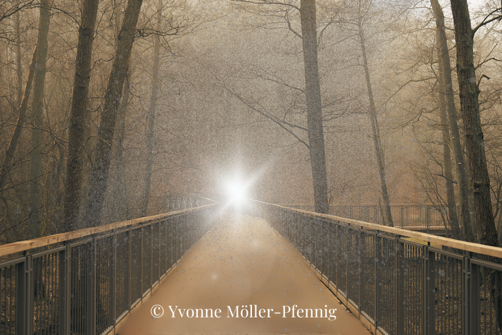 Holzbrücke im Wald mit hellem Licht am Ende